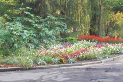 DSCN1578