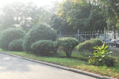 DSCN1606